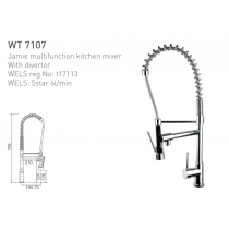 ECT Jamie Multifunction Kitchen Mixer 